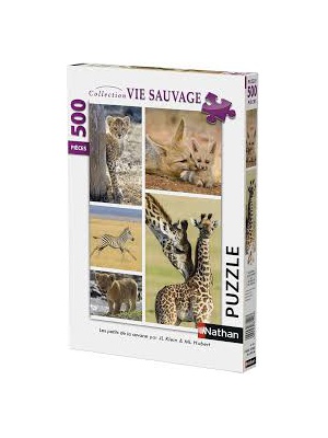 bbs_animaux_sauvages_1678345714